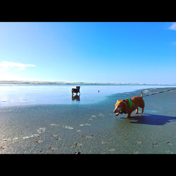 Meet your Posher, Carolyn - Picture 1 of 1